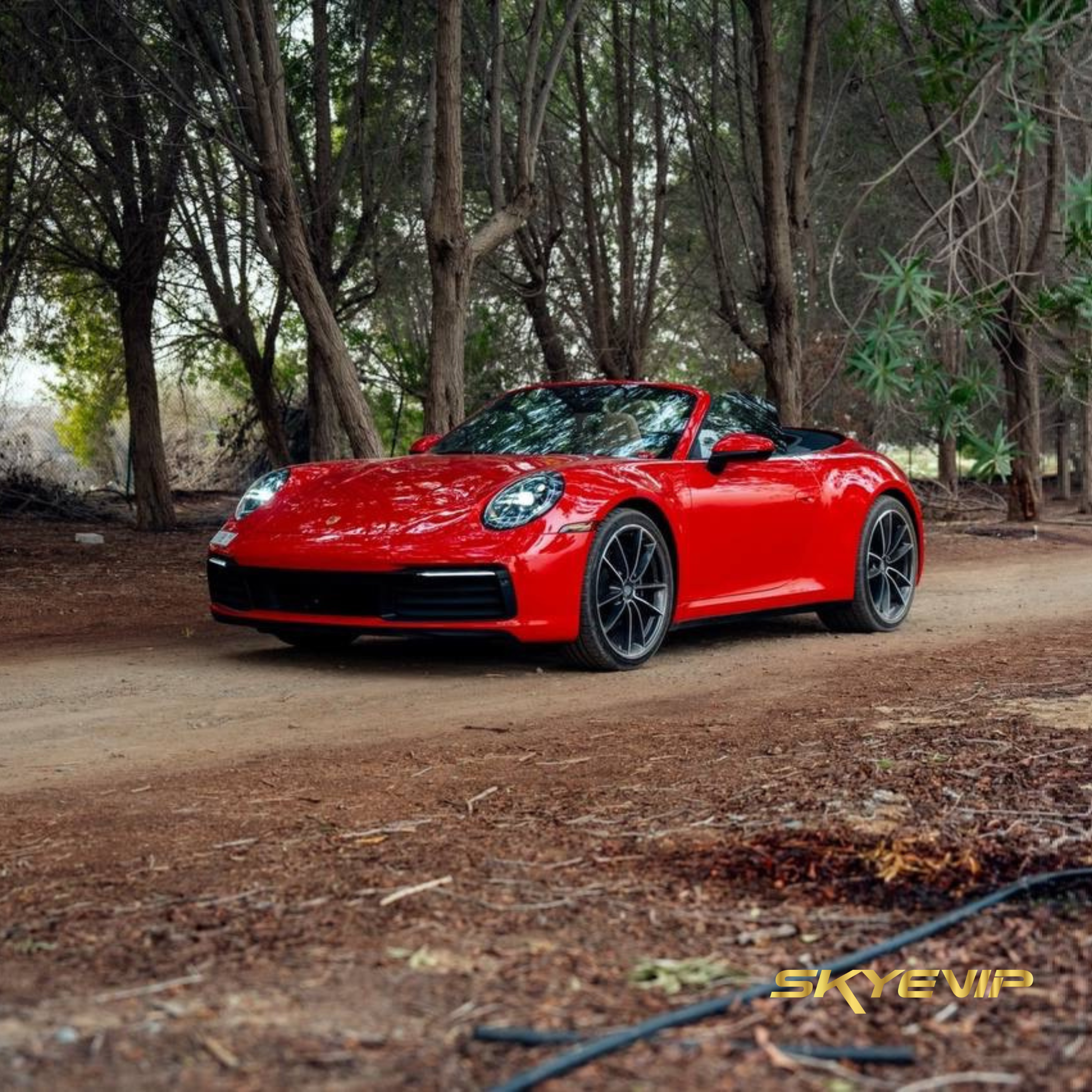 Porsche 911 Carrera Super car Rental